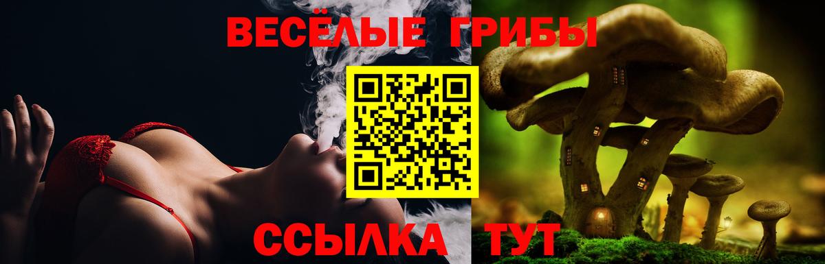 Псилоцибиновые грибы Psilocybine cubensis  Вход с VPN  Самара  Галлюциногенные грибы мицелий 